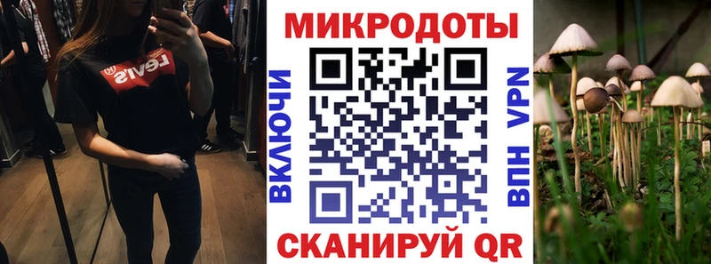 Псилоцибиновые грибы MAGIC MUSHROOMS mega вход Щёлково